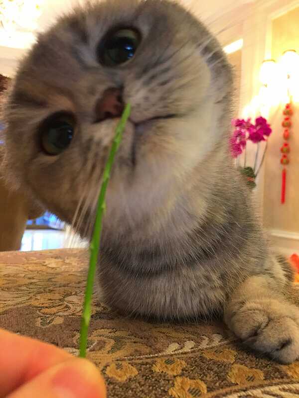 今天推送了个什么系统软件更新?-魅蓝 note2-F