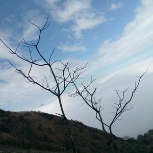 魅族魅蓝3s指纹解锁失灵触摸返回键没反应