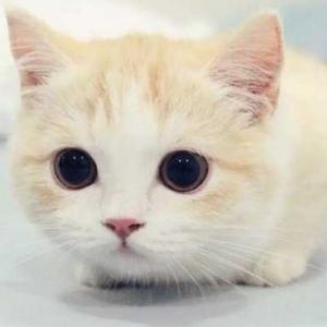 老铁们的魅蓝s6充电时发热吗?