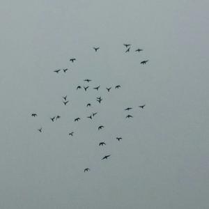 率土之滨如何实现输出最大化?手把手教你配置