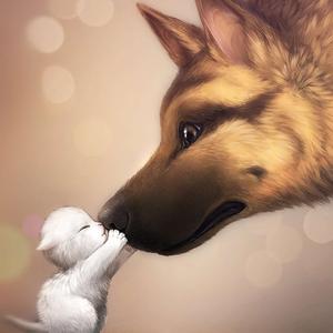 活动中奖的京东e卡密码错误,无法绑定。